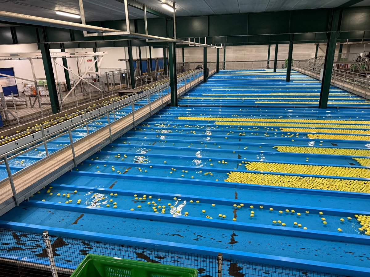 Mercasa_mercas's tweet photo. 🤝Nuestro presidente, @jose_minones, visita las instalaciones de @nufriGroup Soria, junto a su presidente, Francisco Argilés

Una visita para conocer de cerca a un referente del sector hortofrutícola y seguir reforzando la colaboración con empresas presentes en la #RedDeMercas🍎 https://t.co/UVZUukd3Ho