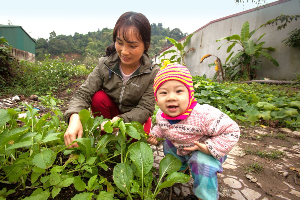 IDRC_CRDI's tweet photo. Happy #CanadaDay! We’re proud to be part of Canada’s #GlobalDev team, investing in research and innovation worldwide to deliver solutions, drive shared prosperity and promote international stability. https://t.co/nu8ZGbcNGQ