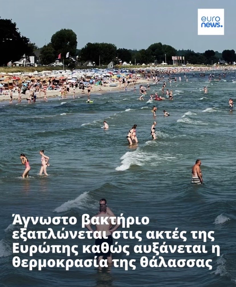 propovtiv's tweet photo. Τρομολάγνοι, αφήστε τους λαγοκέφαλους, πιάστε το βακτήριο. https://t.co/lYokDAaisR