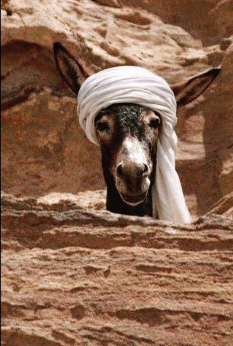 hoqooo30's tweet photo. @almazrouei_27 اسعار الغاز مرتفعنه عندهم https://t.co/lwwpa8bM6F