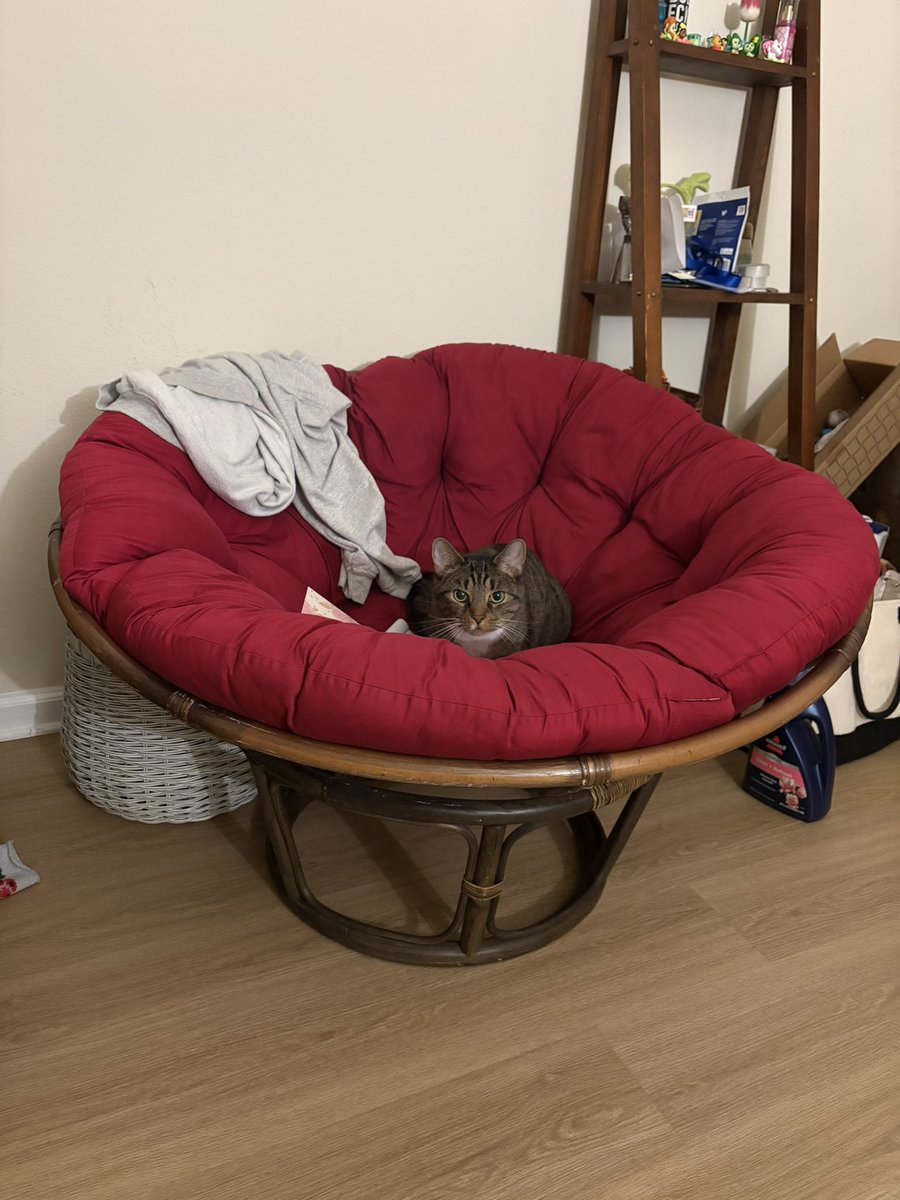kierstenkrw's tweet photo. Decided that I’m deep cleaning this thing and selling it. All of a sudden he’s obsessed with it 🙃 https://t.co/oZSzBYaLyt