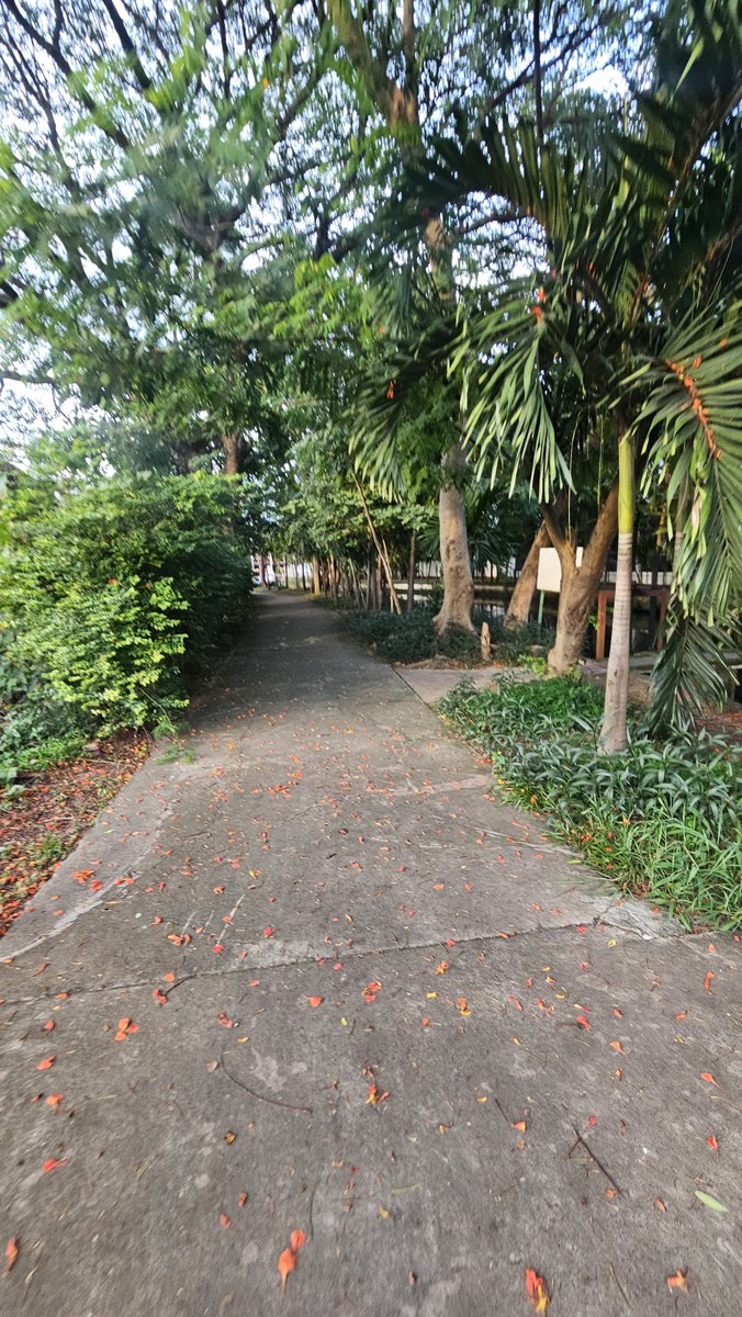 aecm_17's tweet photo. ใต้สะพานกันไหมตับ https://t.co/wP2LZQCtXi