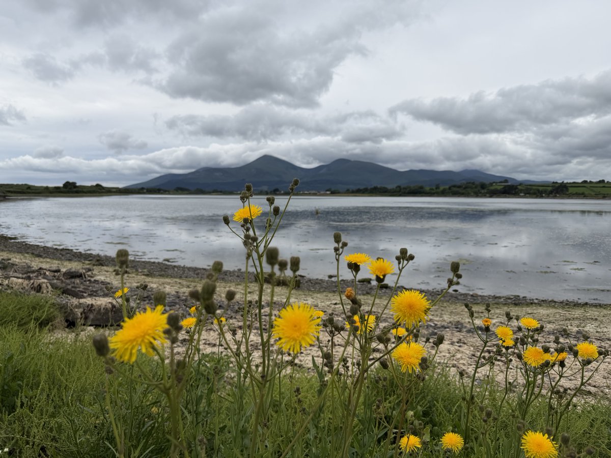 ChristopherGM's tweet photo. Dundrum Inner Bay 01/07/2026 @barrabest @bbcniweather https://t.co/oaKK1sDeKi
