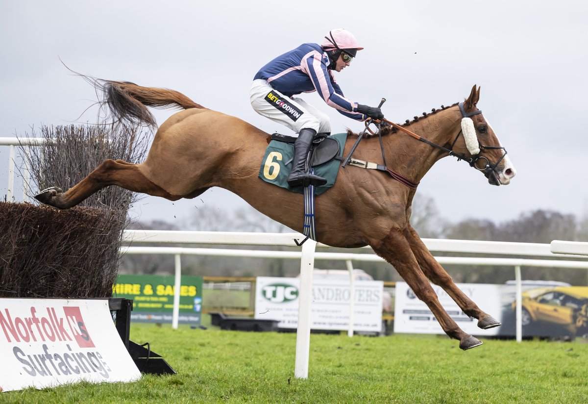 FakenhamRC's tweet photo. Have you ever wondered about promoting your business to race goers, both locally and further afield? We offer a variety of packages - ads on race day screens for £370 a year, track side boards from £500 or advertise on a jump for £275 a raceday👉 info@fakenhamracecourse.co.uk. https://t.co/9R8w0H2hzW