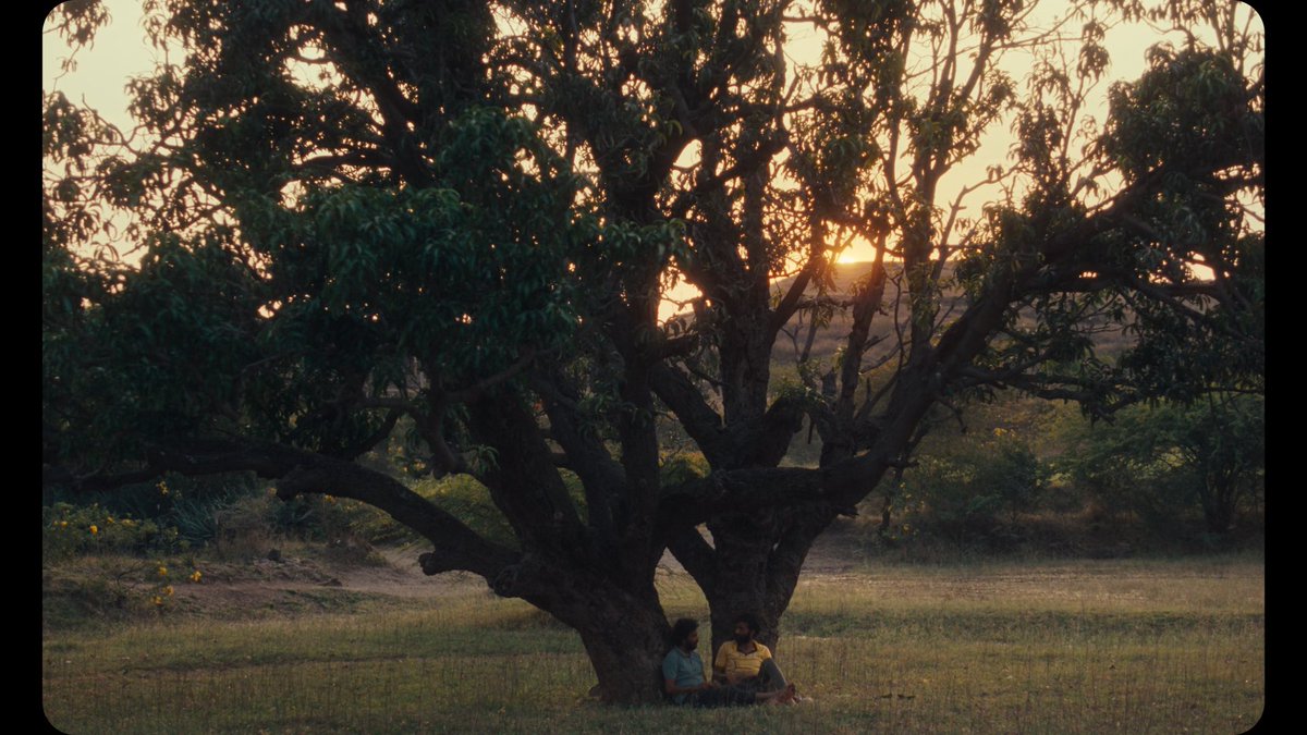ramblerantmuse's tweet photo. First-time favourites: June edition
(Part One)

Wanted to watch more queer films, but I was disorganised.

Cactus Pears (2025, Dir. Rohan Kanawade)
The Blue Caftan (2022, Dir. Maryam Touzani)
Paris Is Burning (1990, Dir. Jennie Livingston)
Beau Travail (1999, Dir. Claire Denis) https://t.co/0GOzO9UTAn
