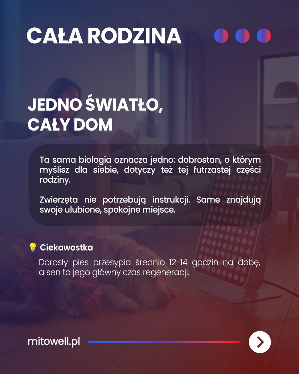 mitowellpl's tweet photo. Jedno światło, cały dom. Dobrostan, o którym myślisz dla siebie, dotyczy też tej futrzastej części rodziny 🐾 https://t.co/h5kNoGhRNO