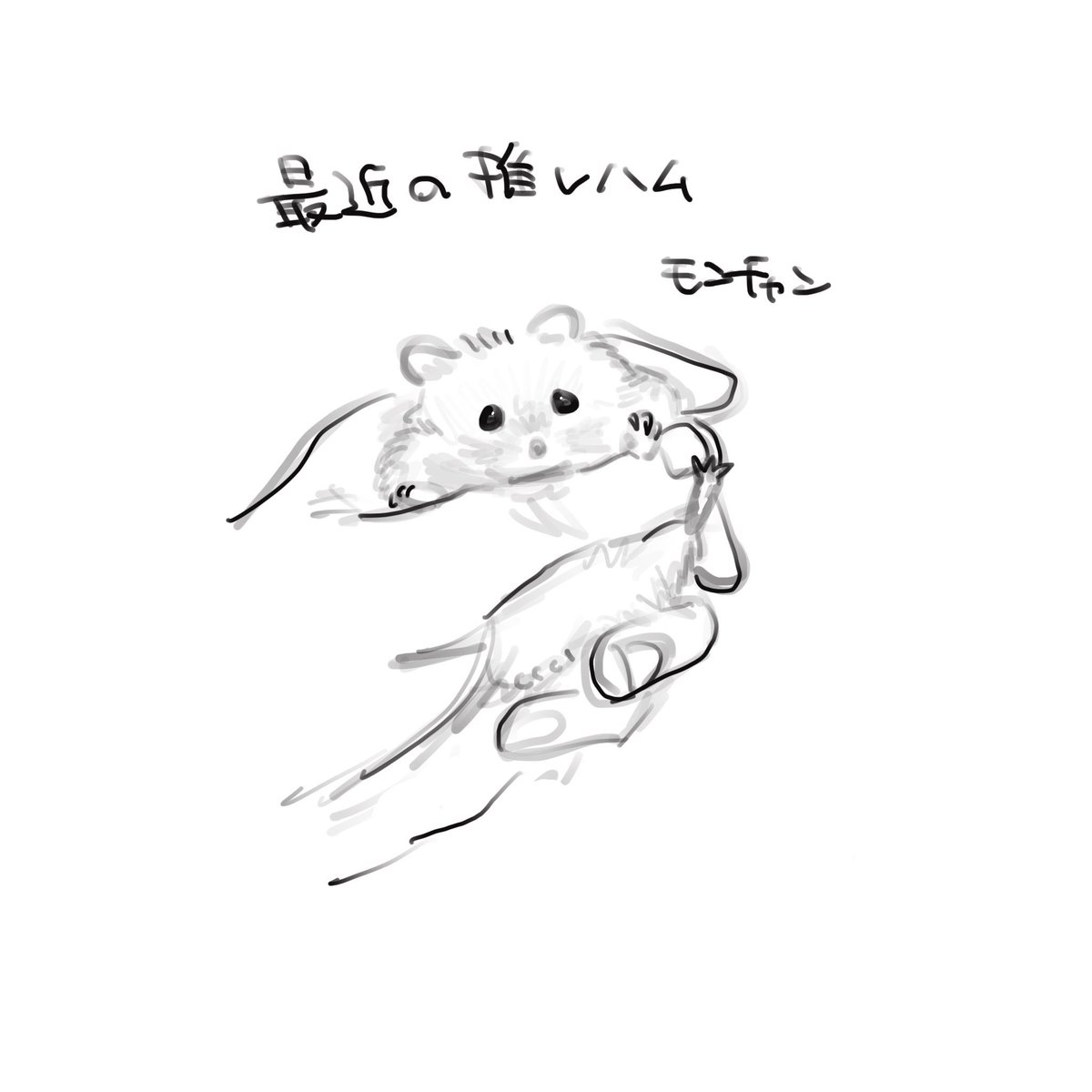 PanKona07's tweet photo. 最近のブームは公🐹 https://t.co/t9w2ln2m35