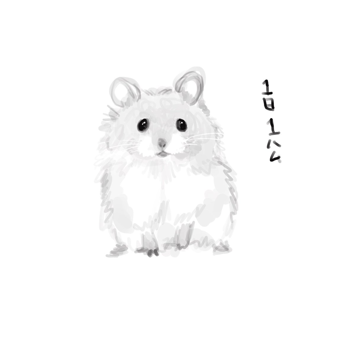 PanKona07's tweet photo. 最近のブームは公🐹 https://t.co/t9w2ln2m35
