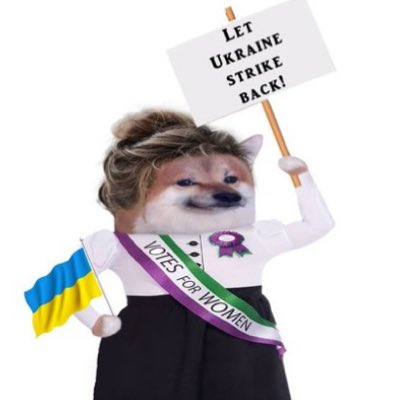 alisonc375's tweet photo. So happy #NAFO troops mobilised to help me rebuild my account for the 2nd time. As a tribute I have changed my pic to my Fellarina Suffragette. #NewProfilePic https://t.co/ySQpphqaHM