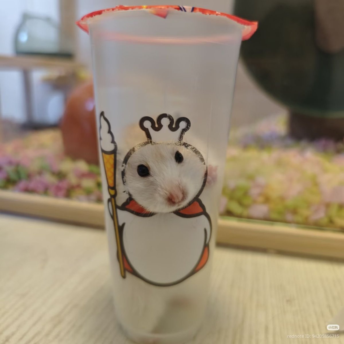 TweetsOfHamster's tweet photo. https://t.co/eebbRBGnUD