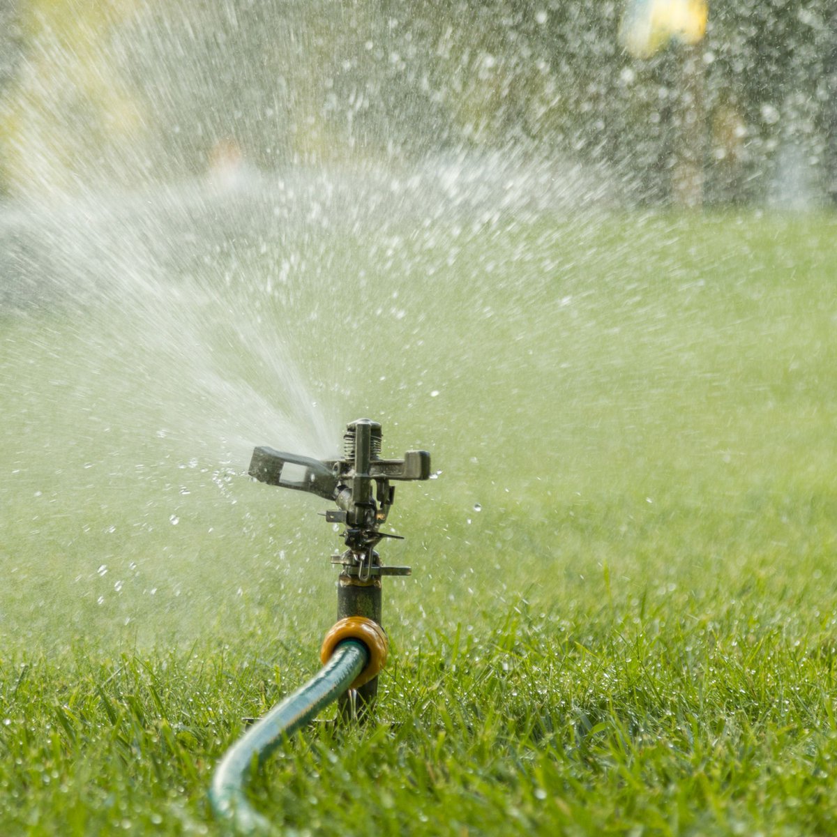 ExpertRooterSF's tweet photo. Stronger water flow for showers, sprinklers, and outdoor cleaning all summer long 🚿💧 Call us on +1 650-515-1972 and Book your water pressure check today!

#sanfranciscodalycity #southsanfranciscobrisbane #sanbrunopaloalto #pacificasanmateo #fostercityredwoodcity https://t.co/IMf4UjLPaR