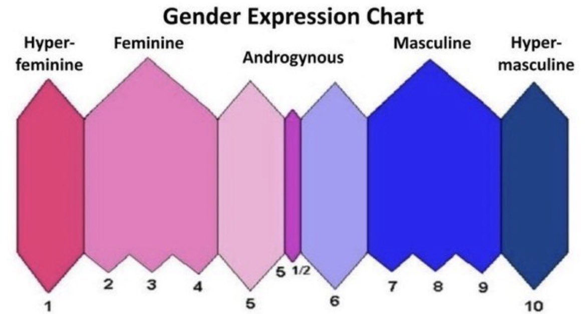 wackiefps's tweet photo. 🔴LIKE + REPLY

and i rate your gender expression based on ur profile https://t.co/Een56elRp5