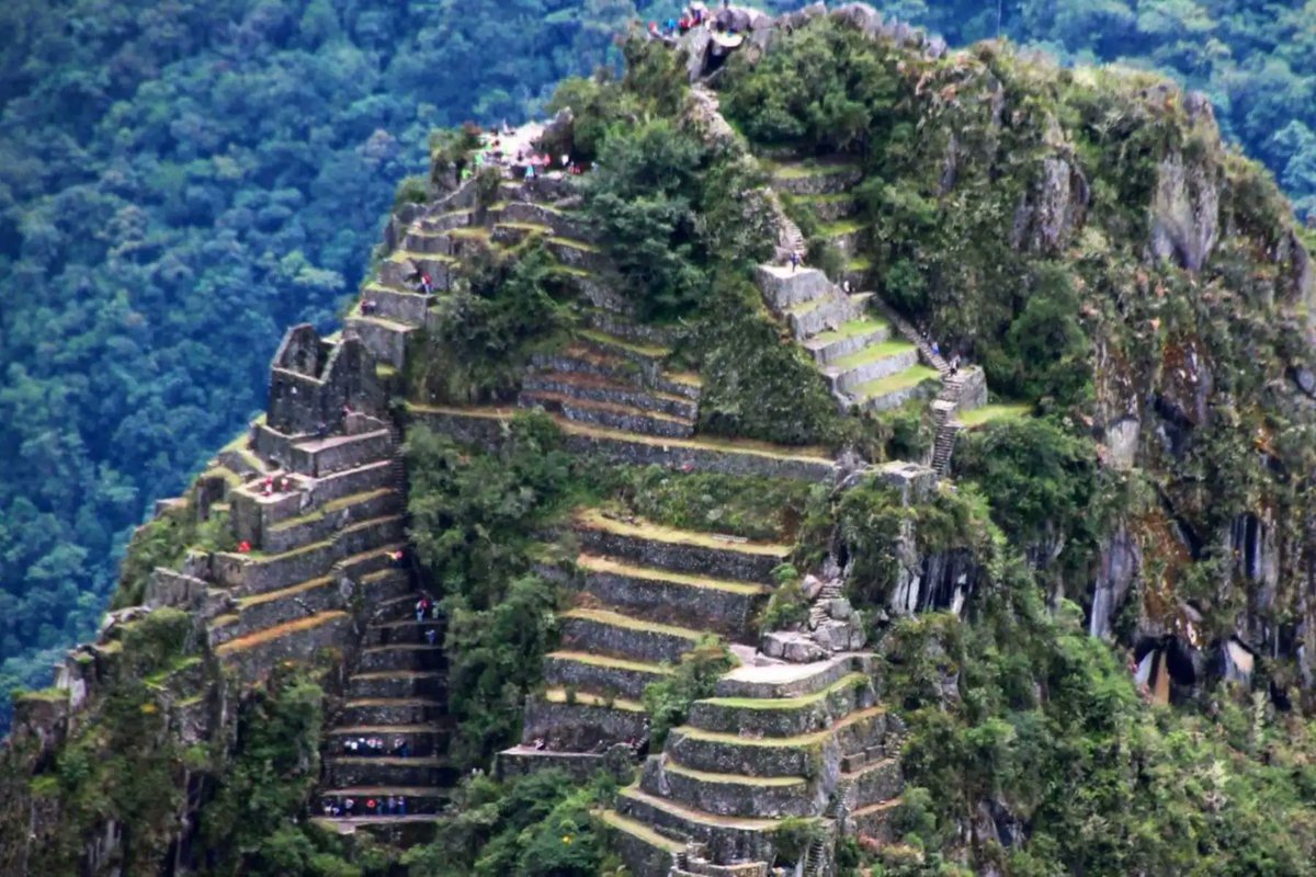 Agencia_Andina's tweet photo. 👏👏 Montaña Huayna Picchu reabre hoy miércoles 1 de julio para recibir turistas, tras culminar trabajos especializados de conservación y mantenimiento  https://t.co/wYepHHMBA4 https://t.co/fV8P4uwYTW
