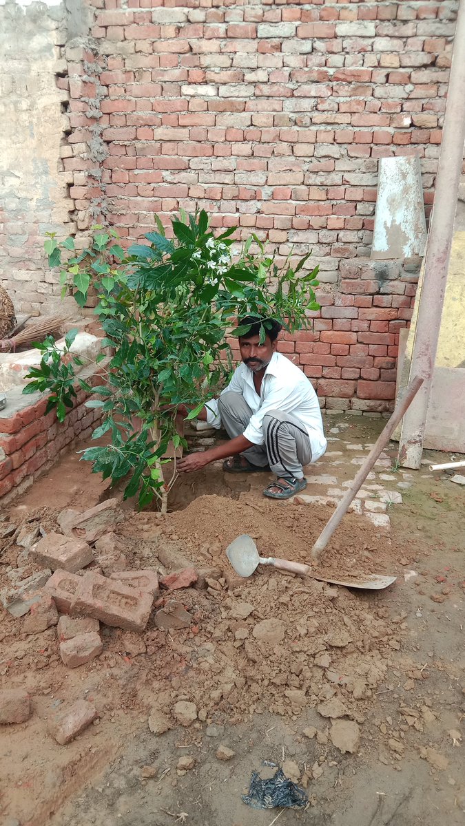 RambhoolChauhan's tweet photo. आज अपने आवास पर एक पेड़ मां के नाम वृक्ष धरती माता का एक सौंदर्य है इस सौंदर्य को बढ़ाने की हम सब की जिम्मेदारी है पेड़ों से ही हमारा जीवन सफल एवं सुरक्षित रहता है
रामभूल चौहान नगर पंचायत हर्रा पुर्व चैयरमेन प्रत्याशी भाजपा https://t.co/OzL7KU5ktR