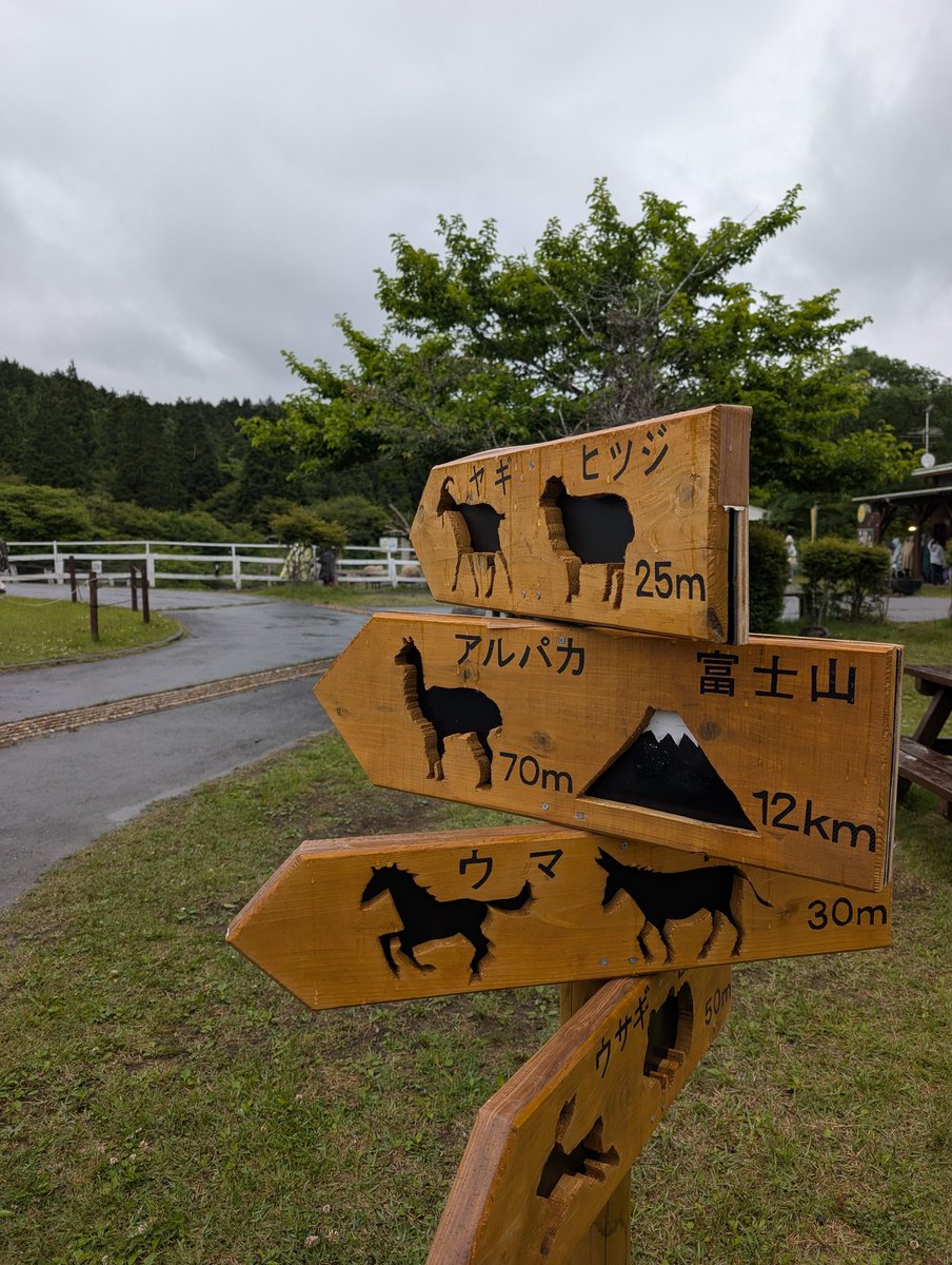 big04rest's tweet photo. 先月ですが、くるりとスーパー登山部、君島大空、鎮座DOPENESSを見に行った。
藤原さくらがめちゃ良くてびっくりした。 https://t.co/ctsrJjHRjR