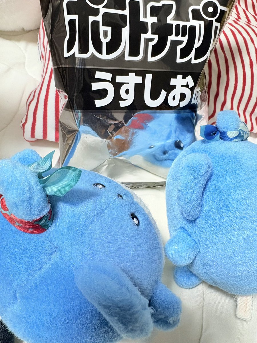 mtmt_mrl's tweet photo. マリルが写ってるって楽しそうやった https://t.co/rt8BRAYiRX