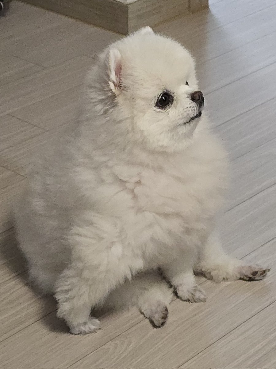 cherry160616's tweet photo. https://t.co/Afw2nqn2un