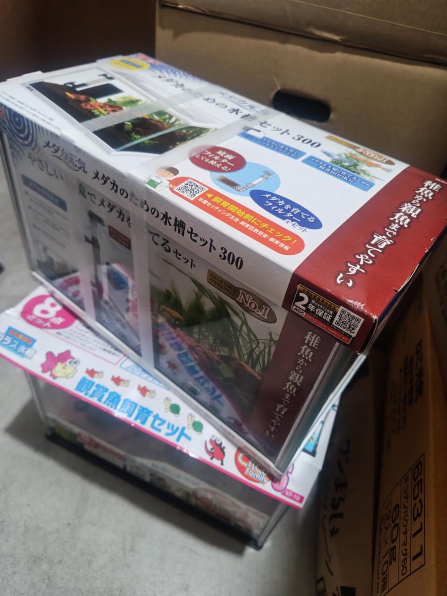 DORCUS_happy_'s tweet photo. いつもイイネやリポストを頂きありがとうございます。

★魚用品　５０％引きでお譲りできます。開封品やパッケージ破れのＢ品、また、水槽セットの中身に訳ありなど格安で差し上げたり、お譲りできます。

恐れ入りますが発送はしていません。引き取り優先です。
#魚 #カブトムシ #クワガタ #佐賀 https://t.co/goH7r4XB9d
