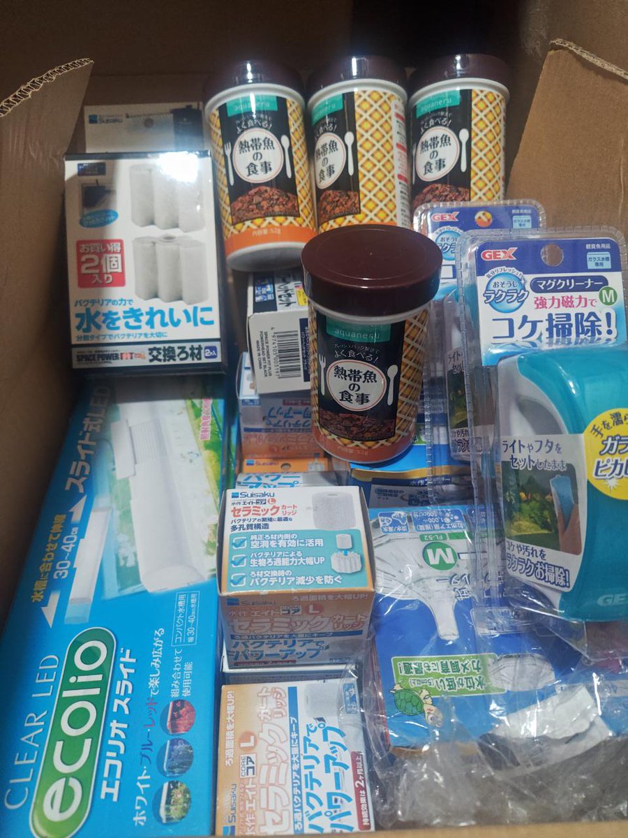 DORCUS_happy_'s tweet photo. https://t.co/q4bUFa1QAS
