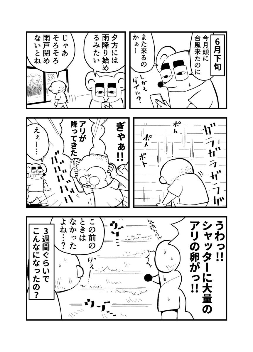 shuuutaf's tweet photo. 今年台風多い？
#離島のチュータ https://t.co/UWo4V5D4kp