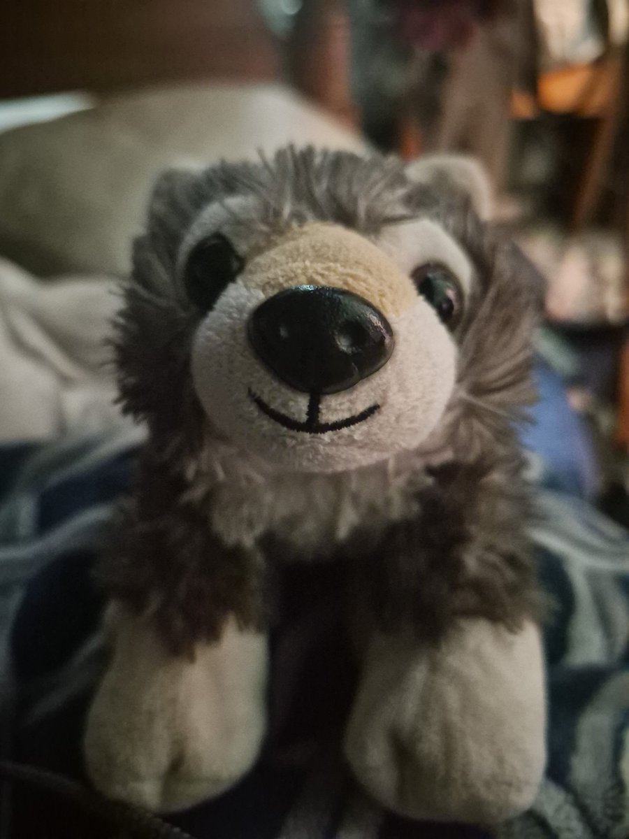 WolfPackGames9's tweet photo. Happy Canada Day from Humphrey https://t.co/q4QdBU9sIM