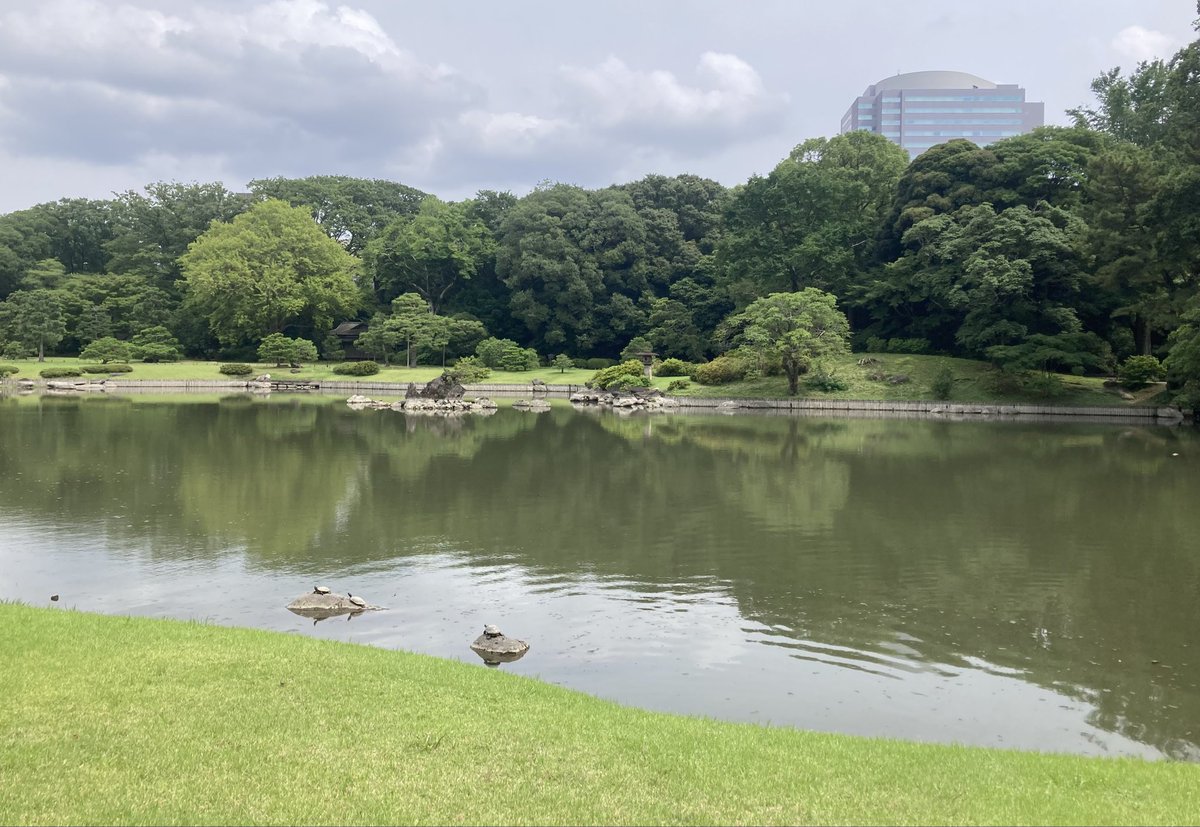 0eriO1's tweet photo. またもや庭園。ただただお散歩👣クレープアイス美味かった👍
＃六義園 https://t.co/PRR1EInydY