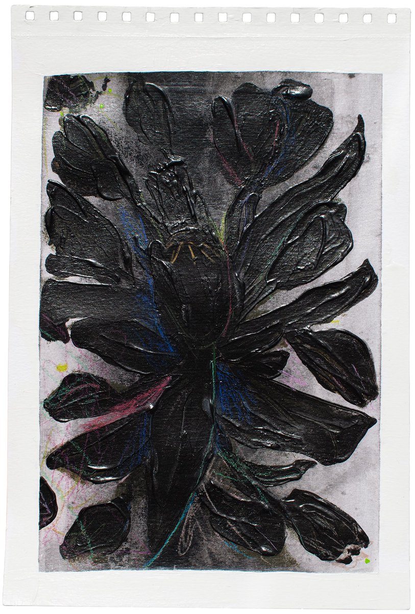 dannyfariiia's tweet photo. ⬤ ORGANIC MATTER 1 · 2 · 3 · 4 · 5.
PERSONAL, DANNYFARIA 2026. ORIGINAL ON PAPER IE264 FABRIANO 300GM A4. ACRYLIC PAINT / MATTE MEDIUM / PENCIL COLOR.

https://t.co/G9TSZ5uljC

#work #art #personal #organicmatter #dannyfaria #paper #acrylic #shop https://t.co/i030YV3mnG