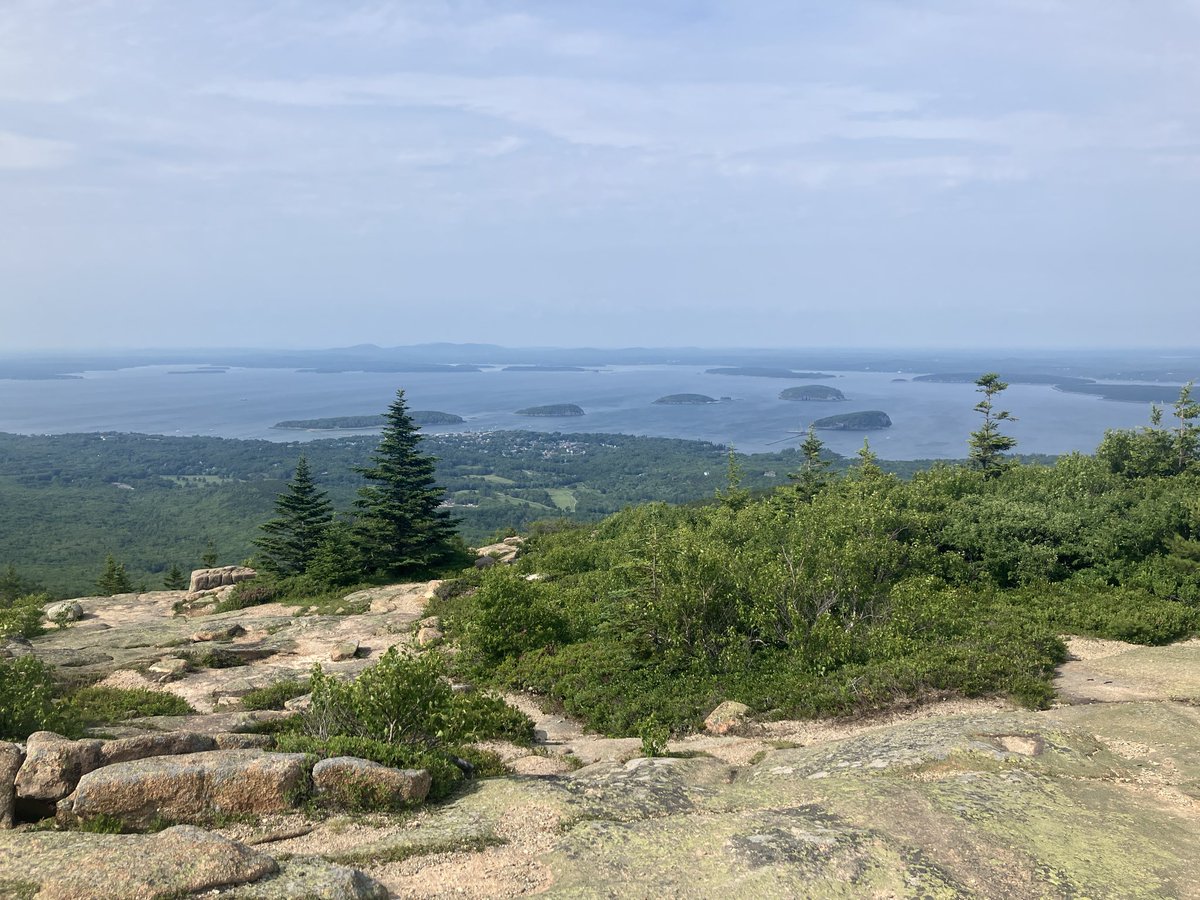 teatime4pm's tweet photo. #acadia https://t.co/MoTt8601gJ