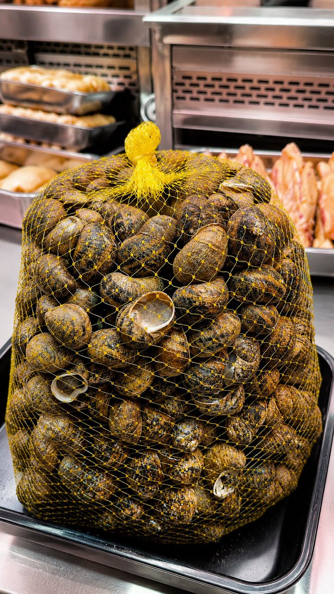 mercatdelesseps's tweet photo. 🐌 És temps de cargols… i a l’Aviram Barceló ho saben molt bé!

Si ets dels que no es poden resistir a un bon plat de cargols, ara és el millor moment per gaudir-ne.

📍 Aviram Barceló @avirambarcelo 
📲 932 191 408 · 681 340 345

#Cargols #ProducteDeTemporada #CuinaCatalana https://t.co/oVnAWdfFLr