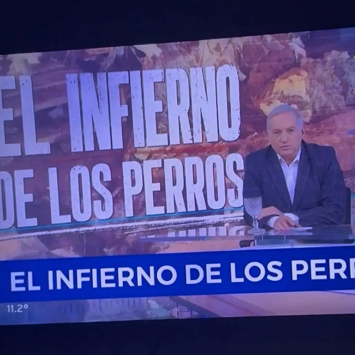 elcampito's tweet photo. No mentimos.
La Perrera de Pehuajó es un campo de concentración.

Hay una denuncia penal hecha por particulares con el patrocinio de abogadas de la Red de Políticas Públicas.
Ayer nos presentamos pidiendo ser particulares damnificados.
La nota de hoy en Telenoche demuestra que 👇 https://t.co/4J29i8Zs1J
