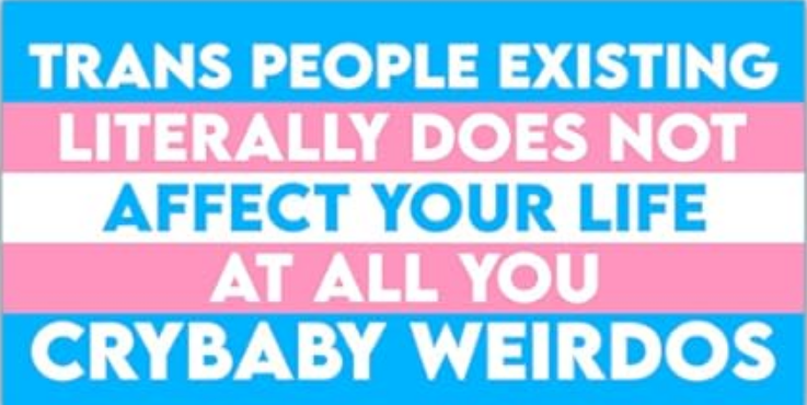 Willowfoxxo's tweet photo. Transphobia is a like a parasitic brain worm i swear, it legit just makes them obsess over us every single day and act like we're the biggest issue that exists.

If you wake up and ur first thing you want to do is attack trans people you legit need to touch grass!!👍👍 https://t.co/UX9dXUmRVZ
