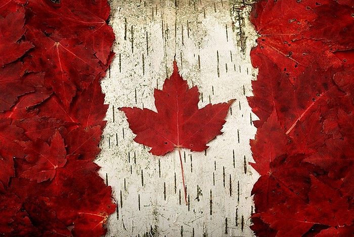 wildchaga's tweet photo. 🇨🇦 Happy Canada Day! | Bonne fête du Canada! 🍁 https://t.co/wSjc6KLnrX