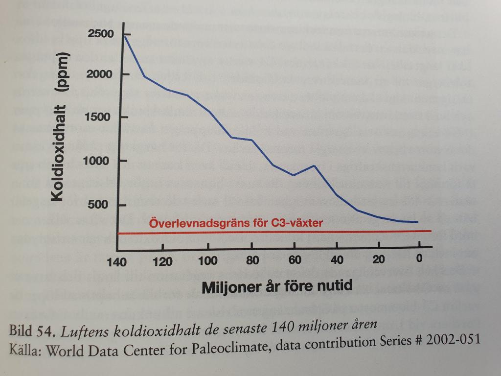 johan_lg2's tweet photo. Stämmer bra Dennis.

Avkastningen av örtartade växter ökar med 33% när koldioxidhalten höjs med 300 ppm(0.03%).
Den genomsnittliga avkastningsökningen för sädesslag som ris och vete, samt för vedartade växter, skattas till 50%.

Världens viktigaste sädesslag, ris, ger optimal avkastning vid en koldioxidhalt runt 0,10%. I stort sett alla undersökta växtarter har fått tillväxtökningar i storleksordning 25-100% vid 0,10%(1000 ppm) koldioxidhalt.

Senaste 30 åren har jorden blivit 20% grönare och avkastning på jordbrukets ökat med 13%.
Det har blivit grönare där det annars skulle varit öken idag.
Hade jorden istället förlorat 20% skulle det innebära en katastrof för ALLA. 

Högre halter av koldioxid i atmosfären leder till att växtligheten i världen binder koldioxid mycket snabbare och de växer allt bättre ju högre halten är.

En fördubbling av koldioxidhalterna skulle öka världens grödoproduktion med i genomsnitt 46%.

De ger mera mat åt växterna och därmed även åt djur och mikroorganismer
📍Grönare värld
📍Förbättrad livsmedelsförsörjning, vi kan mätta fler
📍Växterna blir mera sparsamma med vatten genom att bilda färre klyvöppningar
📍Stärker växternas näringsupptag, motståndskraft mot ozon, och tolerans mot höga temperaturer
📍Gynnsam för växter

När växterna mår bra, mår även växtätare, rovdjur och mikroorganismer bra. Livet blir helt enkelt frodigare vid högre koldioxidhalter

De ökade lufthalterna av koldioxid har haft en signifikant gödslingseffekt, så som IPCC förmodade i 2023-års rapport. I moderna växthus tillsätts därför koldioxid mångdubbelt halten i atmosfären.

Luftens koldioxidhalt är inte skrämmande hög, utan skrämmande låg

Gröna växter driver sin fotosyntes med hjälp av sol, koldioxid och vatten. Tillgången till koldioxid är så gott som alltid starkt begränsande.

En uppsjö av experimentella studier har nämligen visat att höjningar av luftens koldioxidhalt kraftigt stimulerar tillväxten av i stort sett alla växter, till lands såväl som till havs.

Ökande koldioxidhalter är inte livshotande, utan starkt livsbefrämjande.

Koldioxid har samma betydelse för växtlivet som syre har för alla djur som andas.

En fantastisk symbios som håller oss vid liv, där växter producerar det syre vi behöver, och vi producerar den koldioxid de behöver.

Data presenterade av jordbruksverket sjunker skördeutbytet av skandinaviska brödsädsväxter snabbt mot noll redan när koldioxidhalten närmar sig 0,02%.
Svältgränsen för nutidens C3-växter ligger runt 0,02%.

Halten är så låga att luften numera endast innehåller spårmängder av koldioxid.

Koldioxid har blivit en biologisk bristvara, som det råder stark konkurrens om!

Luft består av:
📍78% kväve
📍21% syre
Det är allt! 99% av luften

Små restgaser dock
📍0,93% argon
99.93% av luften

Spårgaser kvarstår som
📍0,042% koldioxid
📍0,0002% metan

4 molekyler per 10 000, ökat från 3 till 4 molekyler sen lilla istiden. Ökning med 1 extra molekyl per 10 000 på 175 år

Av dessa 4 molekyler är 96% av naturliga källor, människan tillför ynka 4% globalt

Mänsklighetens 10GtC/år(36,66GtCO2) motsvarar ungefär 4% av de naturliga flödena

Människan svarar alltså för en liten del av omsättningen i jordens kolcykel. Endast 0,0017%(4% av 0,042%).