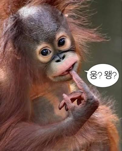 감독 tweet media