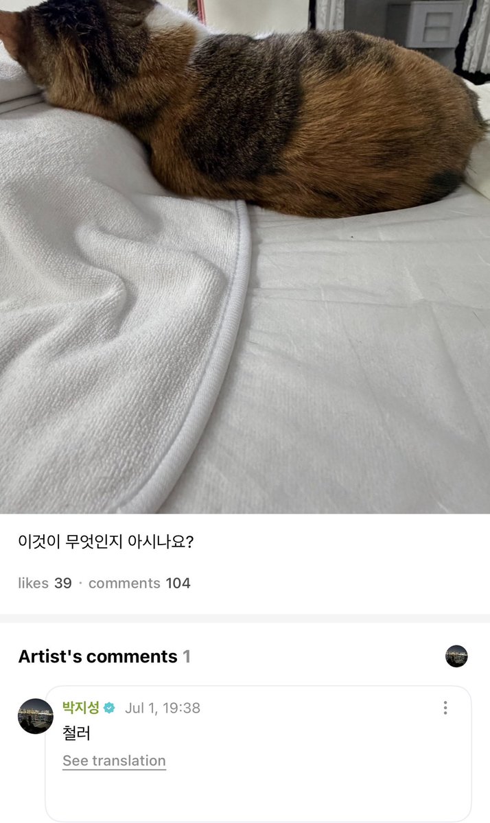 chenleveerse's tweet photo. jisung weverse mentioned #CHENLE 

💬 do you know what this is?
🐹 cheolleo (chenle) 

nyangle 😸

#천러 #チョンロ #钟辰乐 #辰乐 #CHENLE https://t.co/jFUuIJQMV3