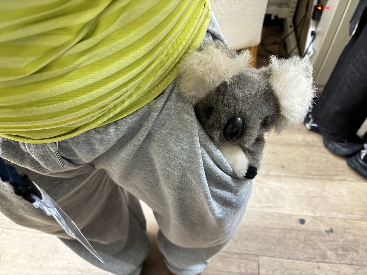 nightseafish's tweet photo. 大変かわいい。新しく友達になった。名前は『こわらW』。 https://t.co/0quemIjHjl