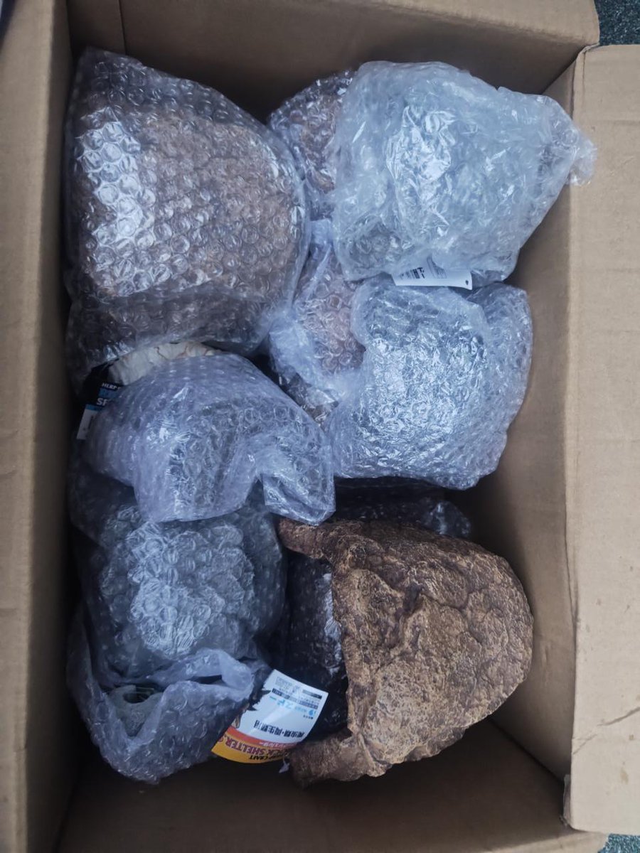 DORCUS_happy_'s tweet photo. ★カメ飼育セットの水槽は４つあります。その他爬虫類用シェルター興味がある方他店の販売価格の５０％引きで考えています。他店のＵＲＬとか参考になるものをご提示頂いてＤＭくださると参考にしやすいです。
現在予約が入っていますので受付はその後。
発送はしていません引き取り優先。
 #爬虫類 https://t.co/tTxwnox4Vf