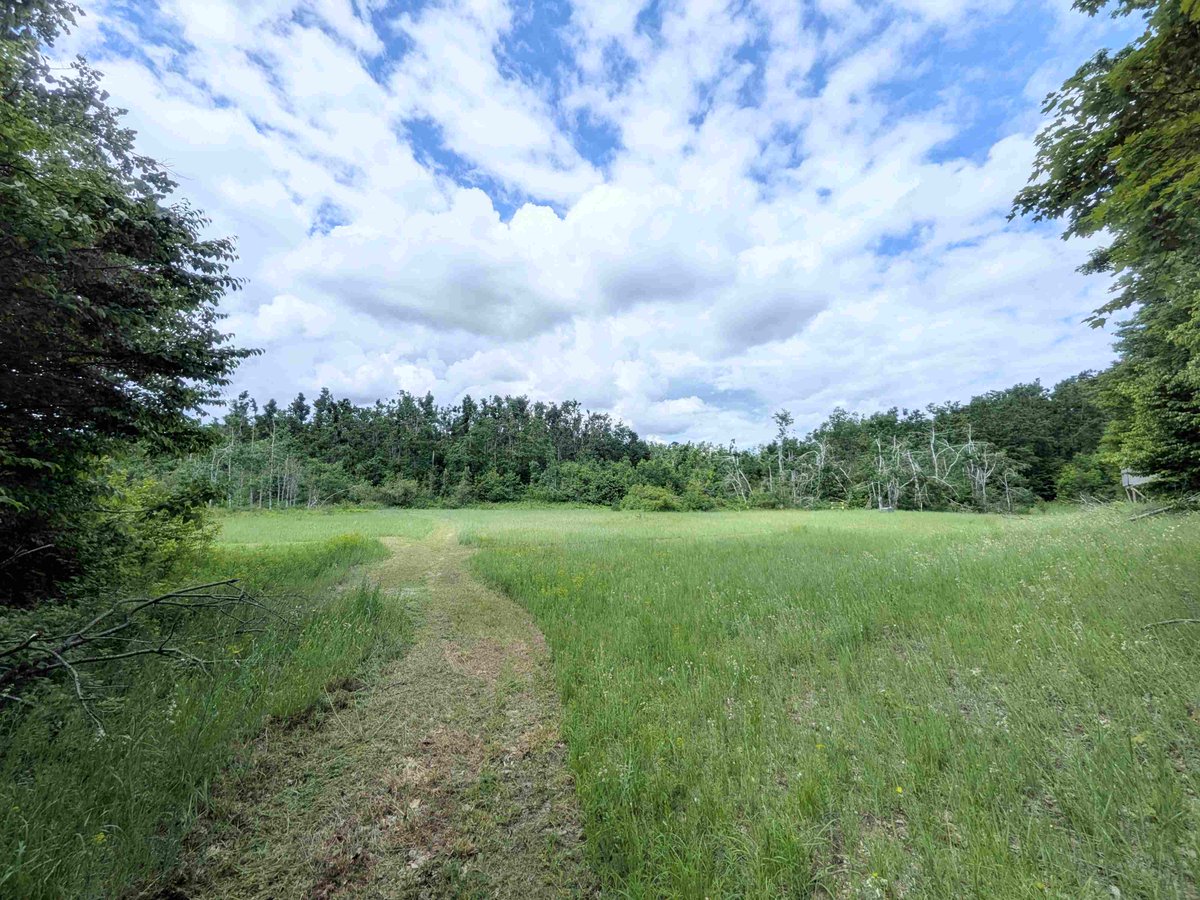 MIoutdoorProprt's tweet photo. Tucked deep into the hills of Charlevoix County, this 79-acre #property, with a rustic #hunter's cabin, is a great fit for hunters, #outdoor enthusiasts, and anyone looking to unplug from the chaos of everyday life. https://t.co/BYL2UwSnPa https://t.co/A7mjEFKl86
