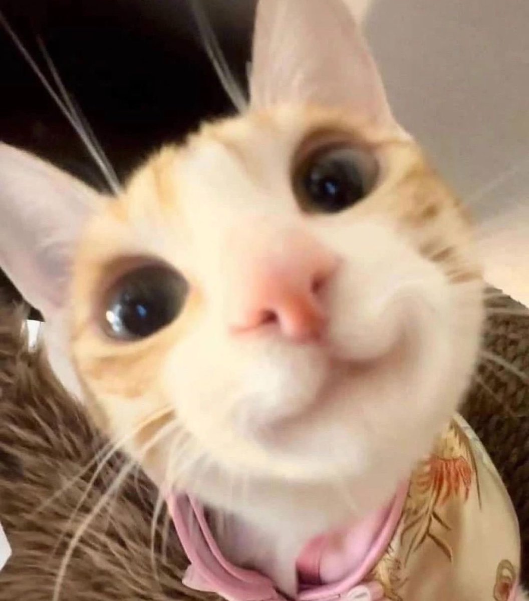 ⋆˚࿔ songie 𝜗𝜚˚⋆ tweet media