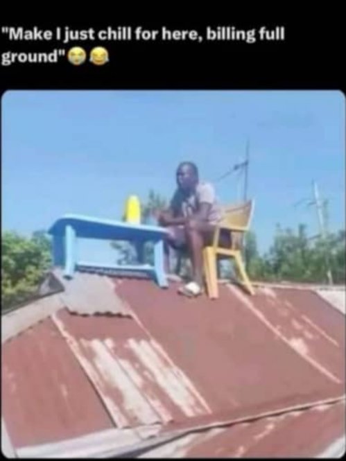 MatildaSteve2's tweet photo. As today na July 1st 
Infact I no dey house 🏡
I too wise like king Solomon 😹😹😹 https://t.co/2ciLO6XRrI
