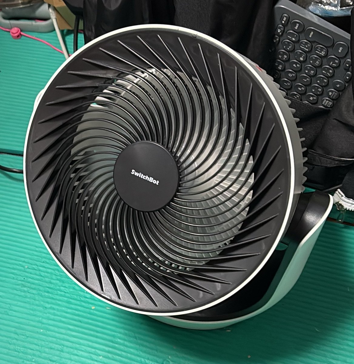 katze_tw's tweet photo. エアコンを注文したせいか、長年連れ添ってきた扇風機がボイコットしたので、Switch bot サーキュレーターを導入。 (*╹◡╹)
比較対象がアレやけど、静かだけど十分な風量だね。 https://t.co/saSchf3JDo