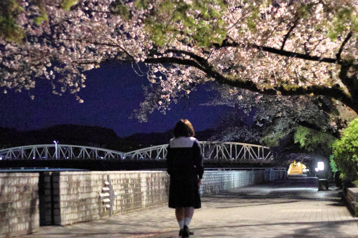 serasesuki's tweet photo. 水琴さん単機での
#2026年自分が選ぶ今年上半期の４枚 https://t.co/T1l2h30QNq