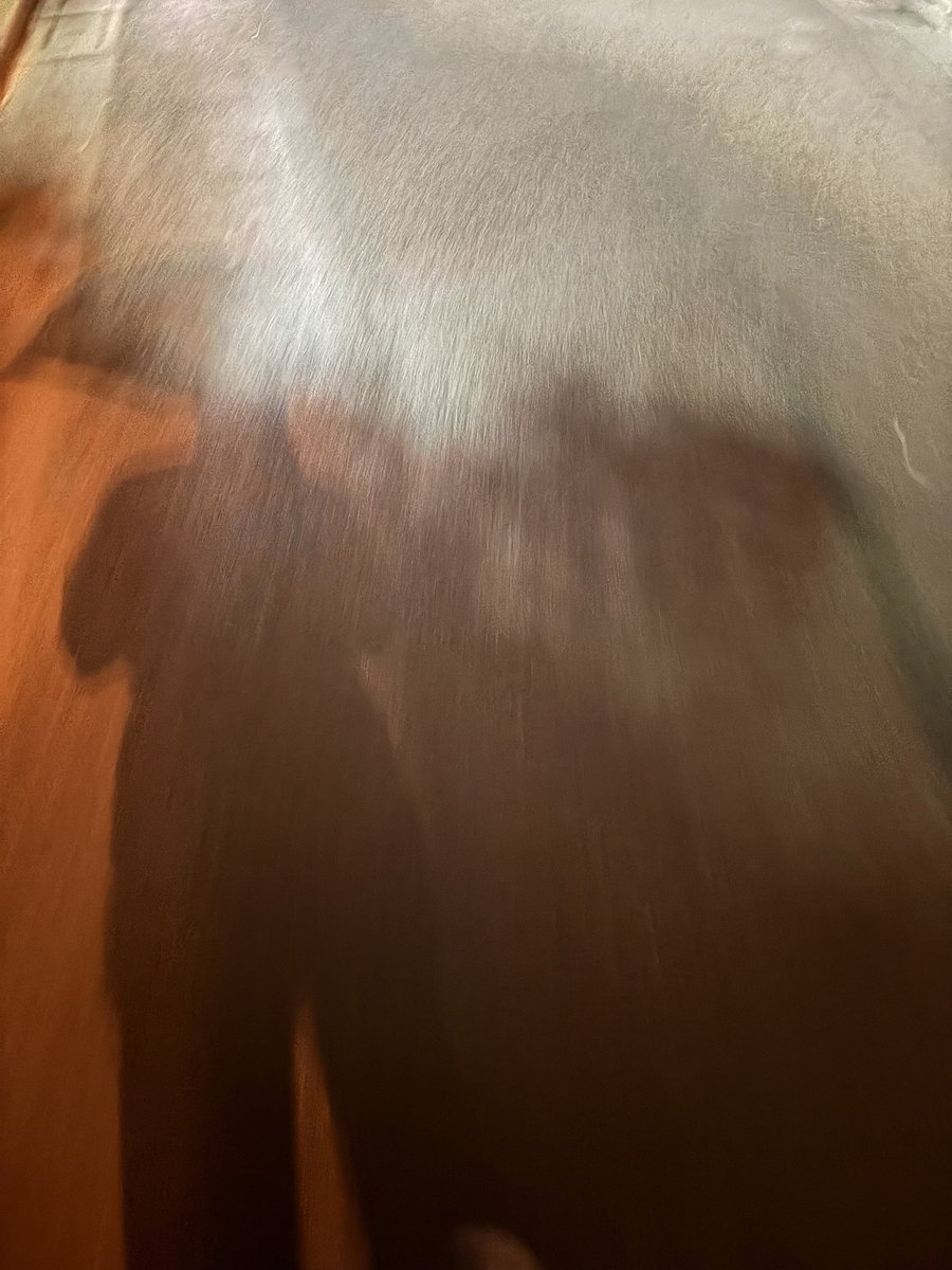 ko_ken28's tweet photo. シトシトと小雨降る地元よりも、神田スクエアホールの方が涼しくてなんならめっちゃ快適だった😌 https://t.co/CluDBWS3Pn