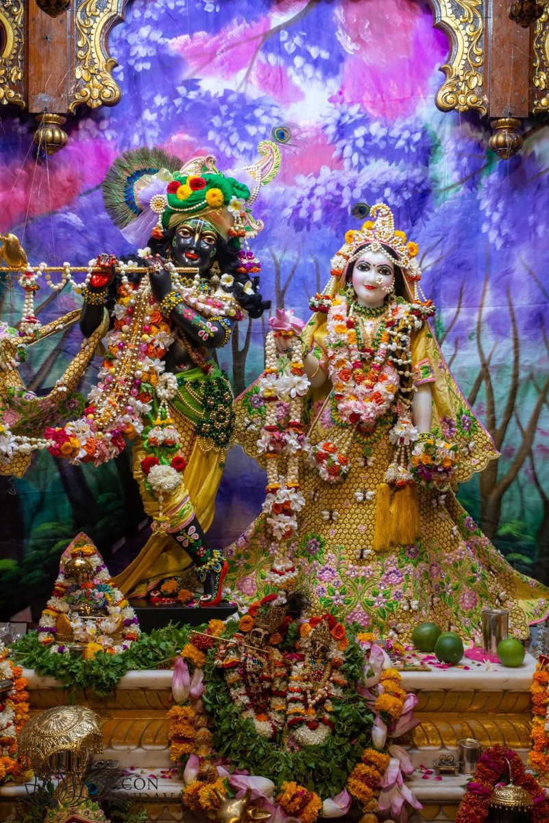 theholy_monk's tweet photo. Today's Singar Darshan 
ISKCON Temple Vrindavan 
Date: 01 Jul 2026 Wednesday 

🍁🌼🪻Radha Shyam Sundar 🪻🌼🍁 https://t.co/BVoKl2xgCN