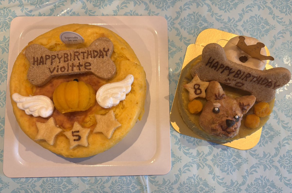 DOG_FIGHT2016's tweet photo. お誕生日ケーキお作りしました❤️
ジロ君はヨーキーちゃんです😊ヨーキーちゃんっぽくできたかな☺️？
#ヨーキー
#はらぺこ https://t.co/zrHKen9MSr