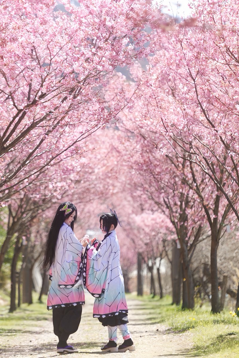 Rkmr_photo's tweet photo. Cosplay＊鬼滅の刃

とある姉妹の

🌸エ＊@inago86 
p＊@bashibashi_snow 
 #コスライ

⚠︎手に持ってる花は落ちているものを使っています https://t.co/sKDKe58x0j