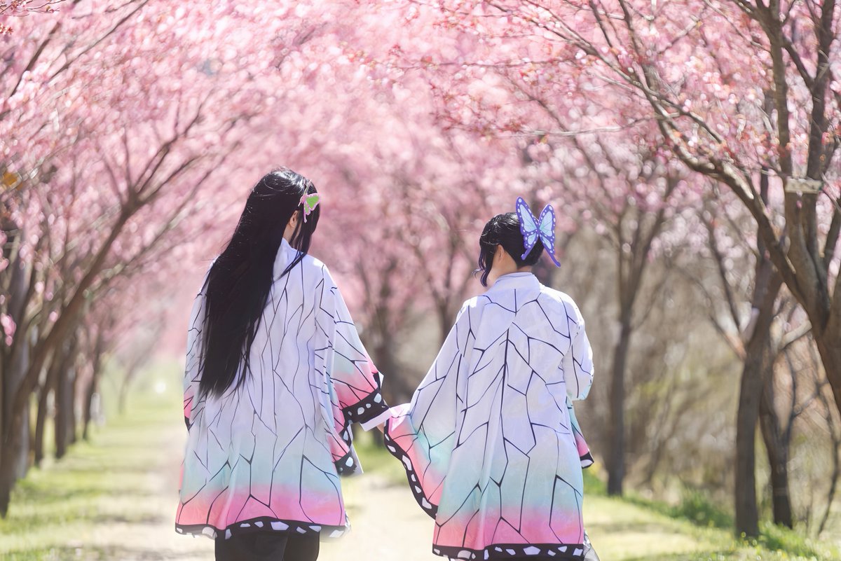 Rkmr_photo's tweet photo. Cosplay＊鬼滅の刃

とある姉妹の

🌸エ＊@inago86 
p＊@bashibashi_snow 
 #コスライ

⚠︎手に持ってる花は落ちているものを使っています https://t.co/sKDKe58x0j