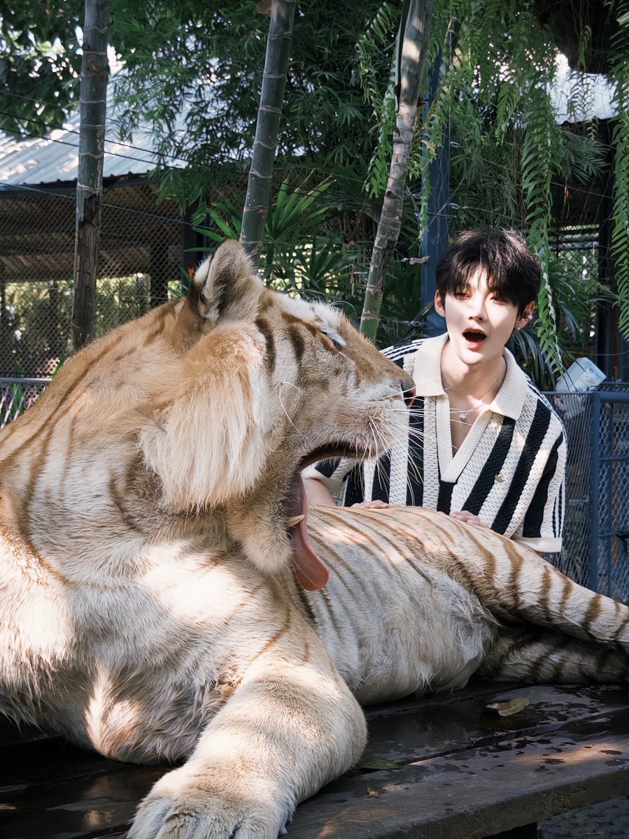 al_ris364's tweet photo. @pengabdikechun Tapi aslinya anaknya cute banget😭 https://t.co/rKvynjtbP2