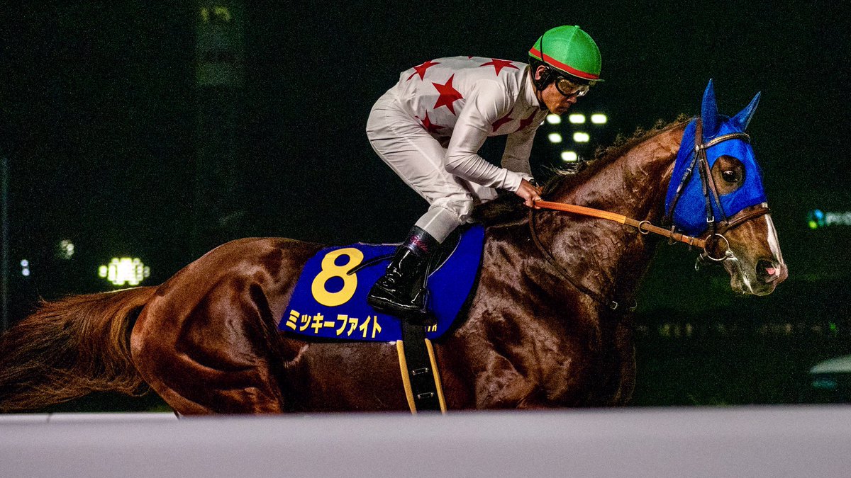 sarcoma8ns's tweet photo. 2026.07.01
大井11R #帝王賞
#ミッキーファイト ✖︎ #戸崎圭太 騎手
二連覇達成！
今年はチャンピオンズC獲って欲しい https://t.co/LwuWsVvC78