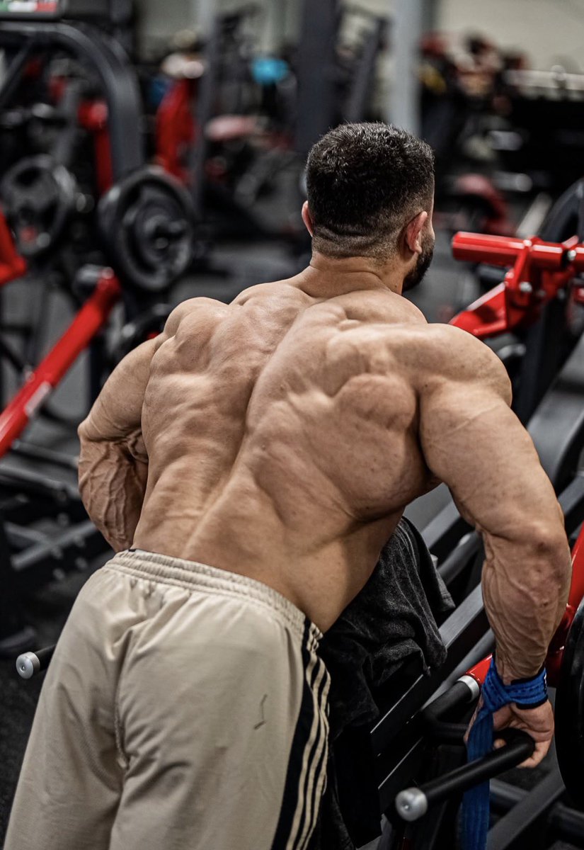 MuscleJacking's tweet photo. Nihat just gave me a massive boner 🍆🍆🍆🍆🍆 https://t.co/egxNHkQ7O7